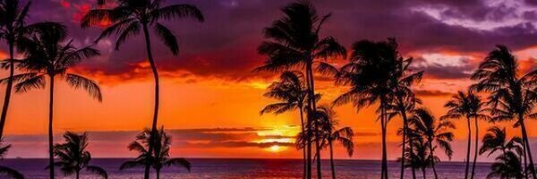 HeidiMalone7 Profile Banner