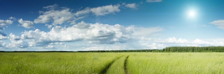 Jason Nicholson banner