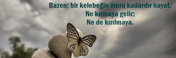 dilek_unal's profile banner image