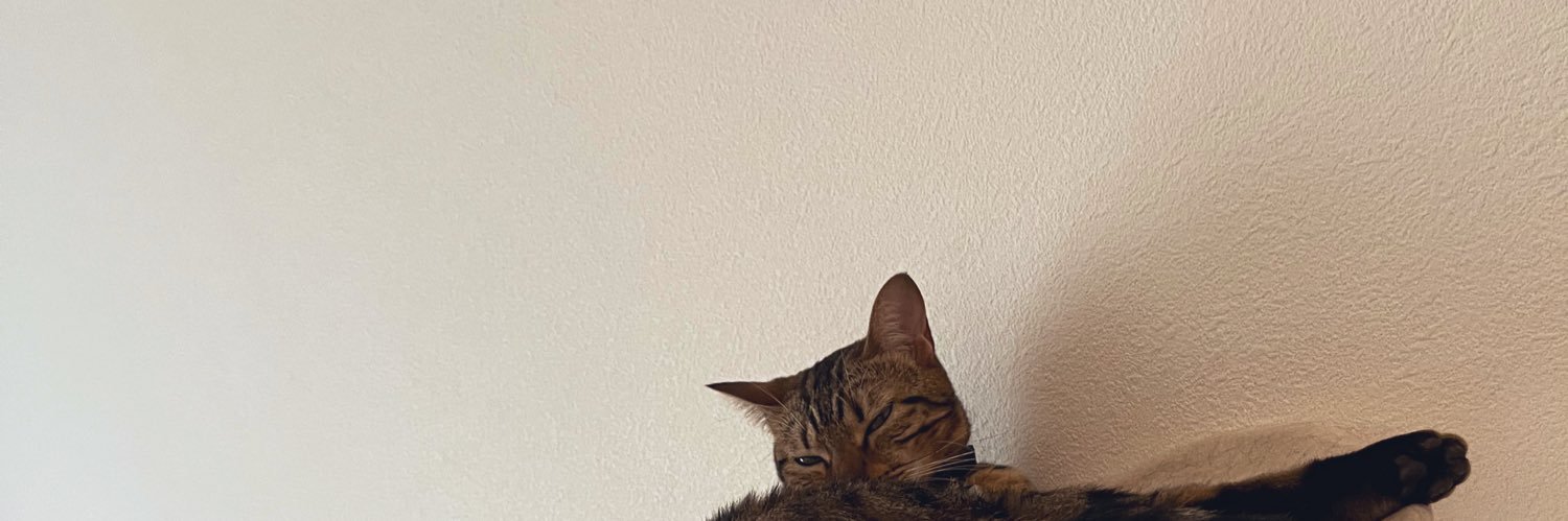 silv_vlis's profile banner image