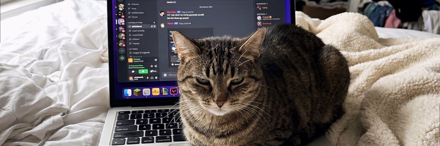 roxycastellin's profile banner image
