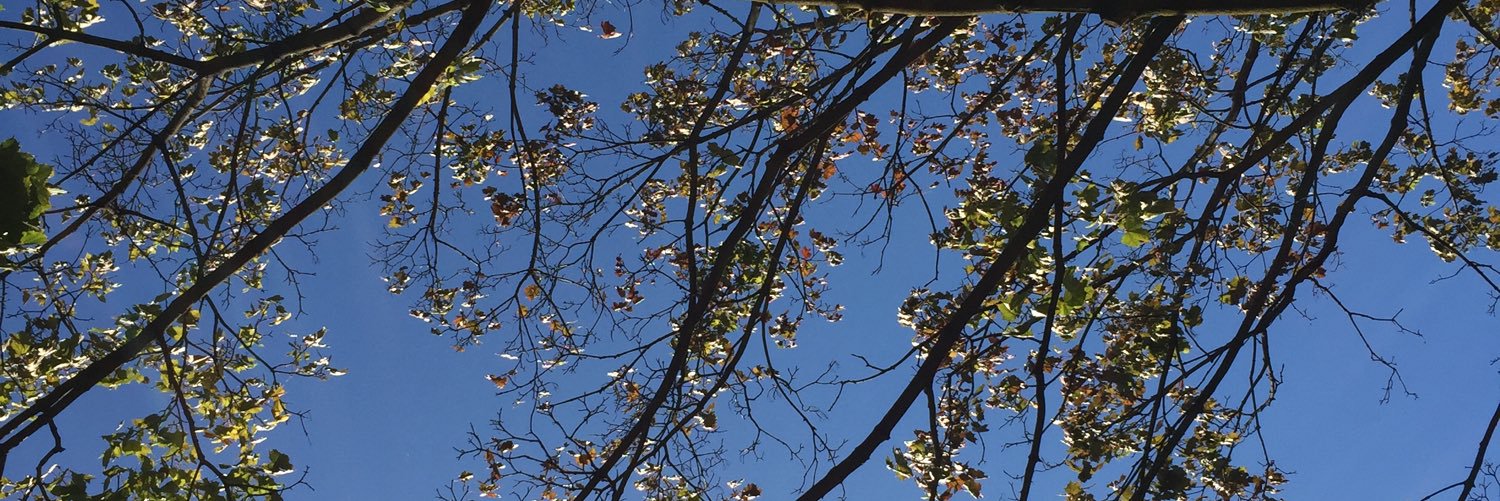 lcmoons's profile banner image