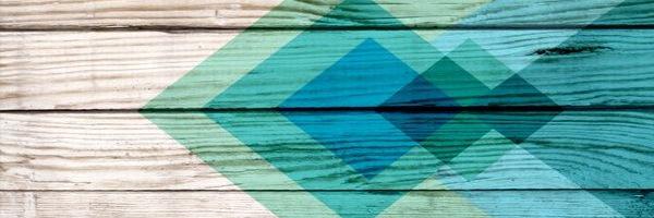 Erin Treloar banner
