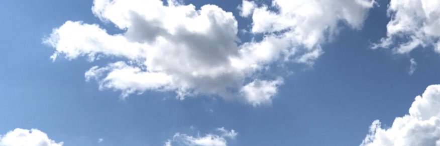sarahfriedli's profile banner image