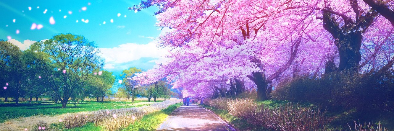 Ninjakikio's profile banner image
