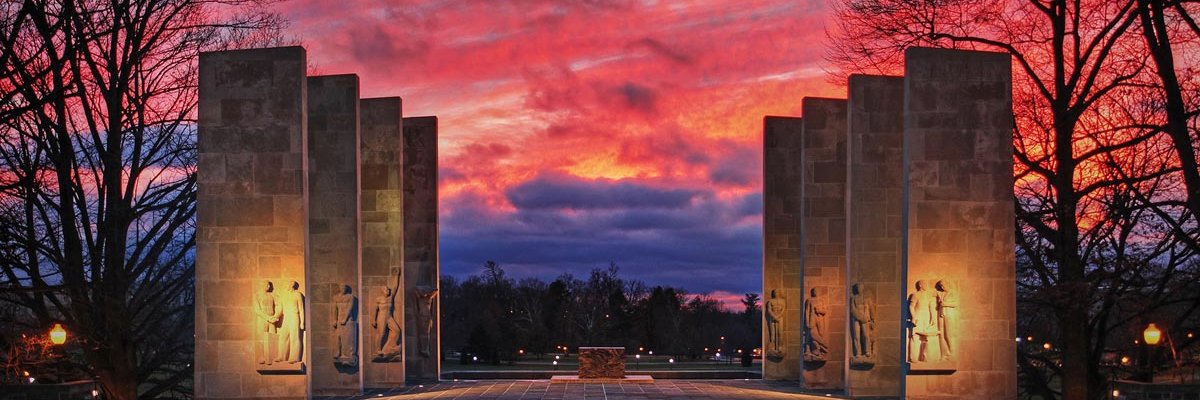 Anne M. Brown banner