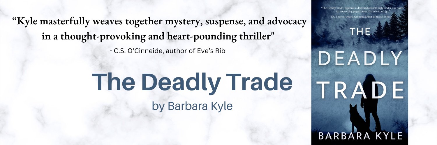 BKyleAuthor's profile banner image