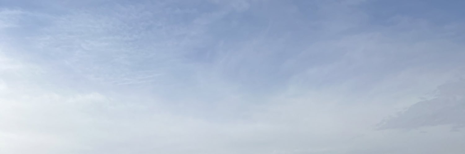 jane_sauce's profile banner image