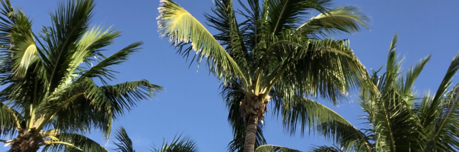BrianDabul's profile banner image