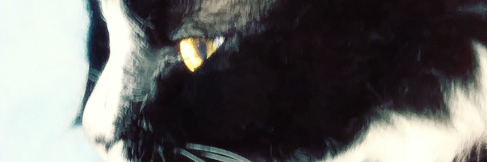 mchlrthbn's profile banner image