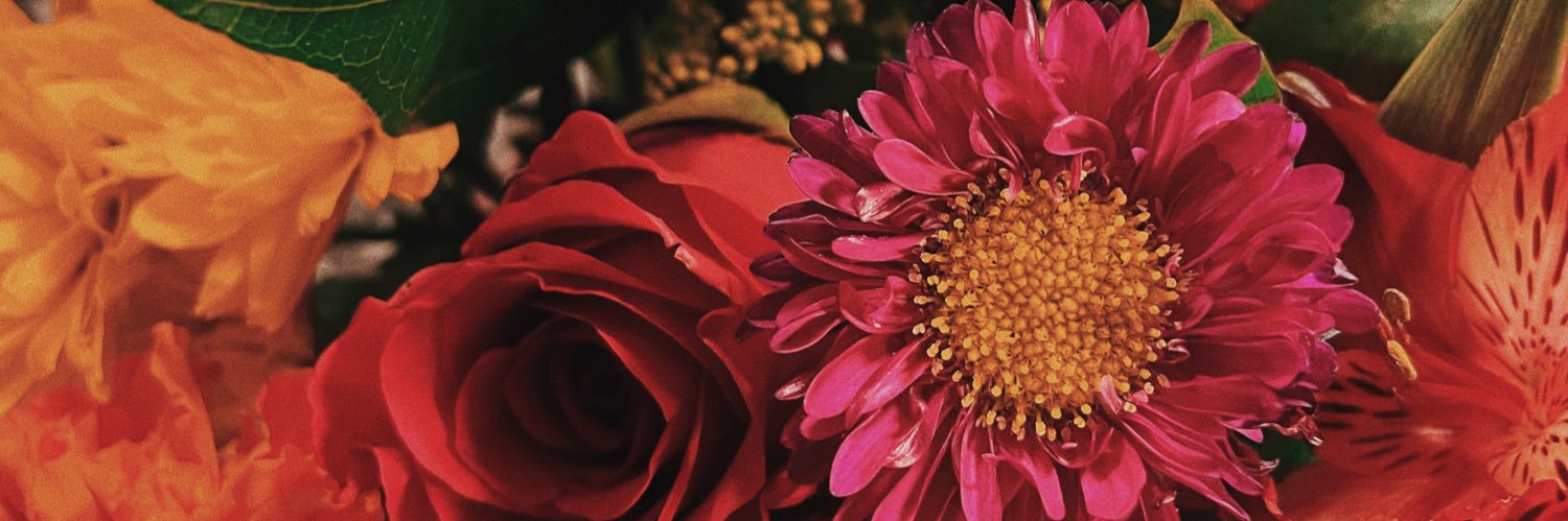 lrarys's profile banner image