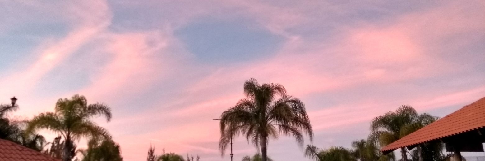 amrequenes's profile banner image