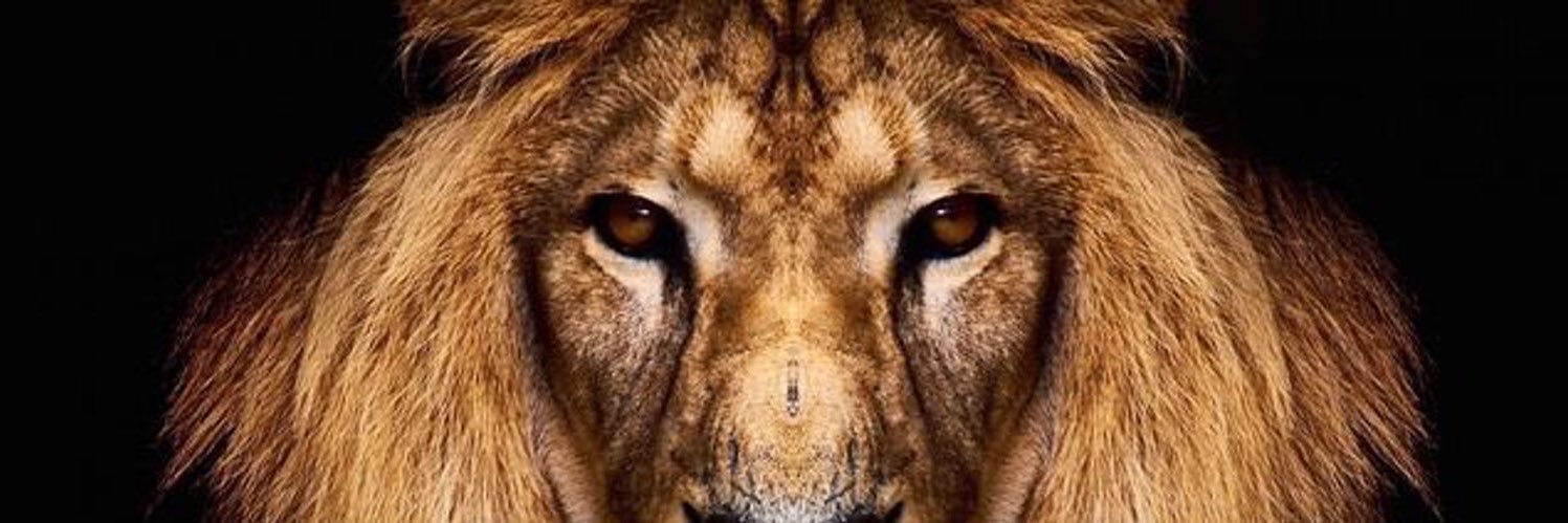 jermmmX's profile banner image