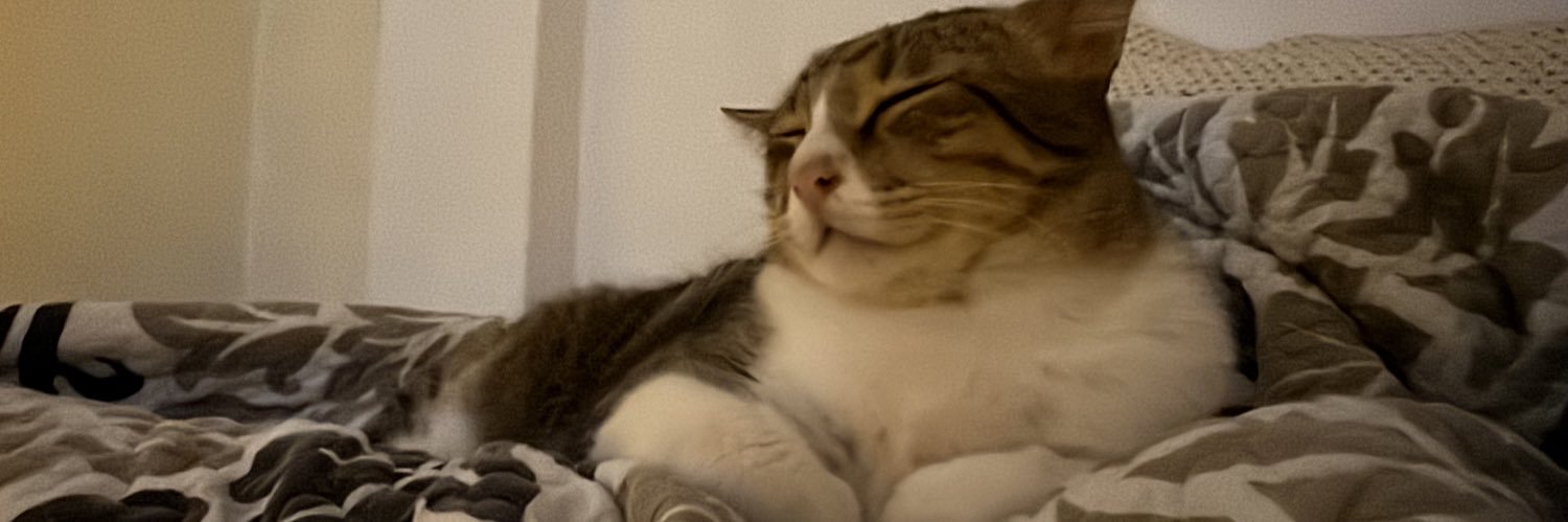 maskuldangsngkt's profile banner image