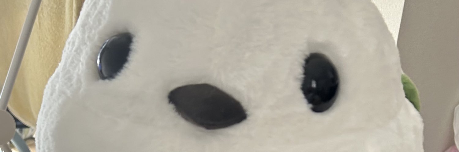 pucho111's profile banner image