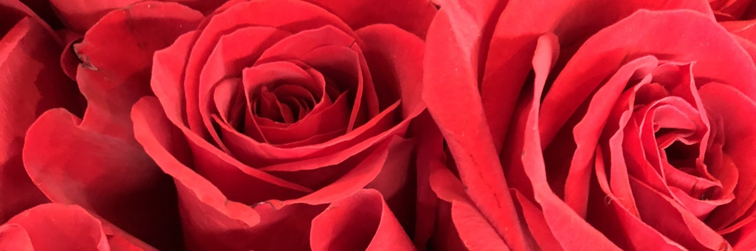 Laura Lucia 🇪🇨 banner