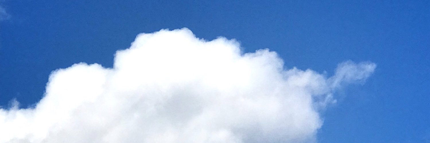 yukka's profile banner image