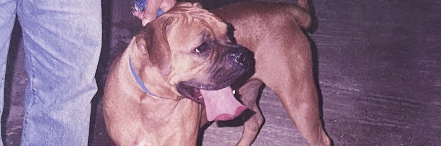 blahhnik's profile banner image