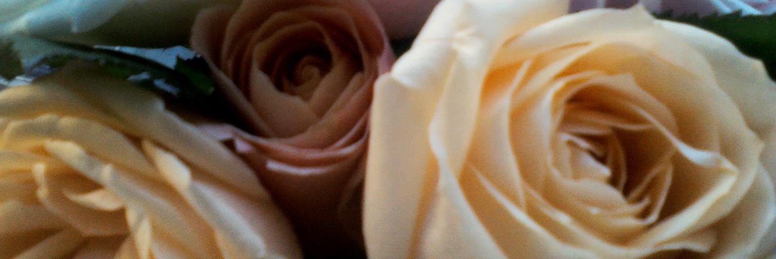 xsaurx's profile banner image