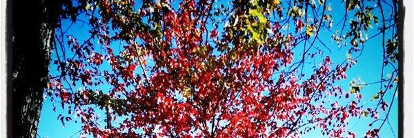 matman42 Profile Banner