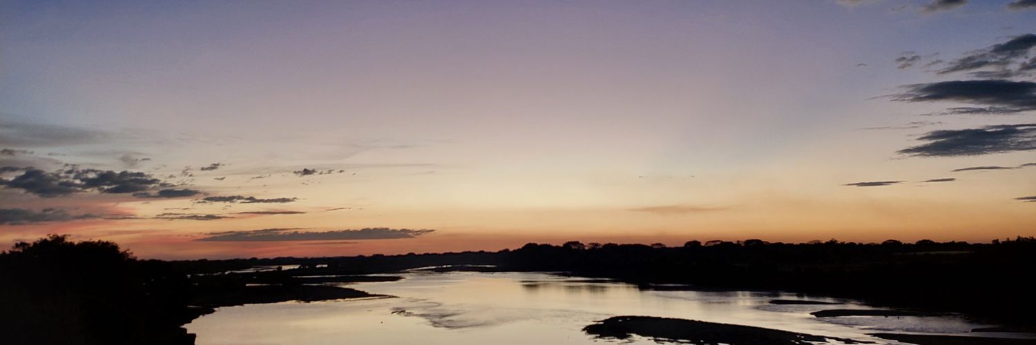 Srita_Sanchez's profile banner image