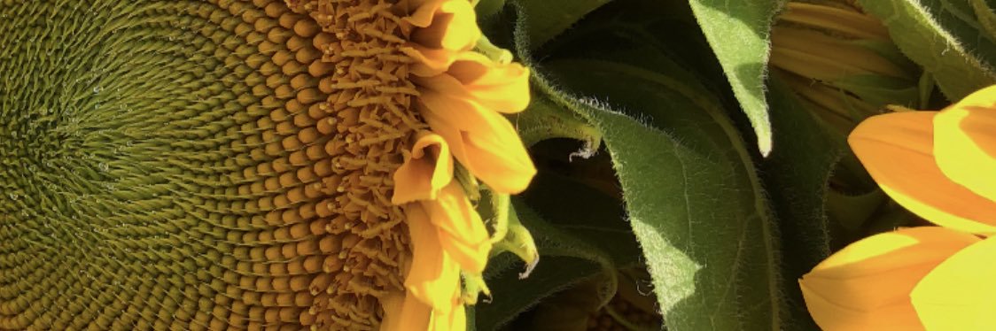 Jacs829's profile banner image