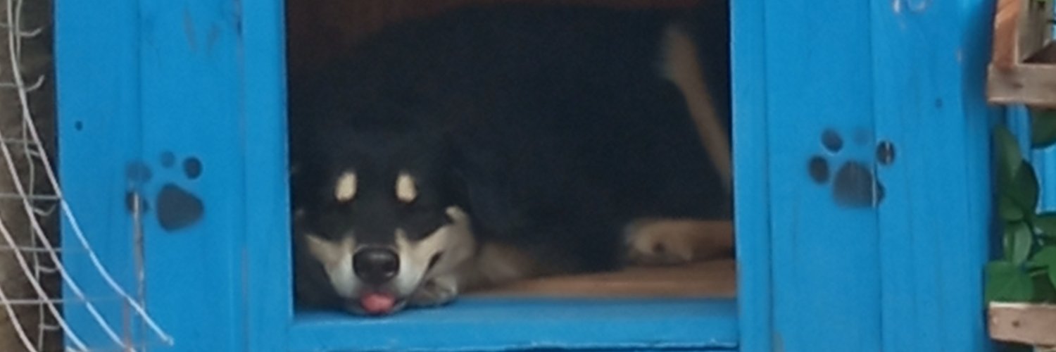 Tasso Evangelista banner