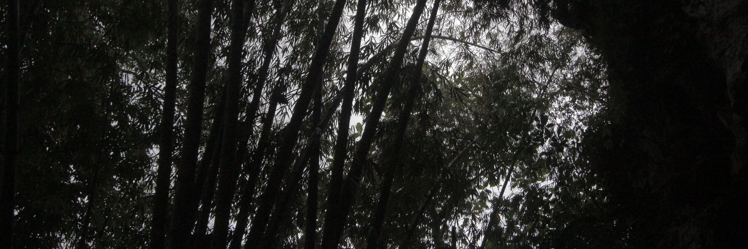 kazukiitoo's profile banner image