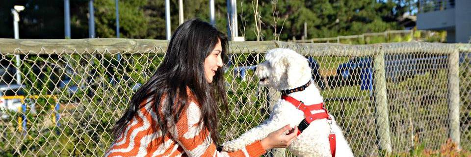 karinaaa24's profile banner image