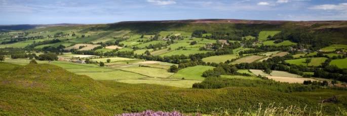 BevYorkshire's profile banner image