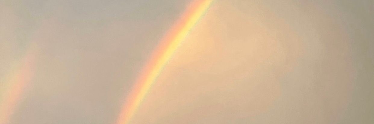 sal 🌈🤘🏼 banner