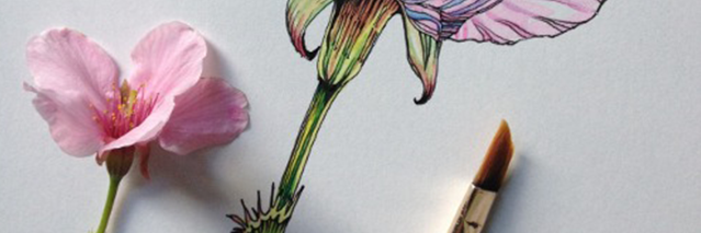 hazelallgdrx's profile banner image