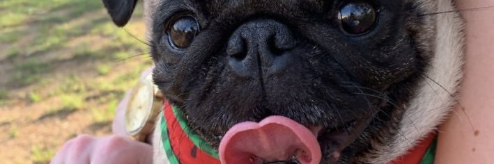 natibeust's profile banner image