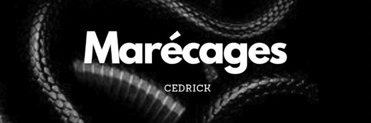 Puzzlemusique's profile banner image