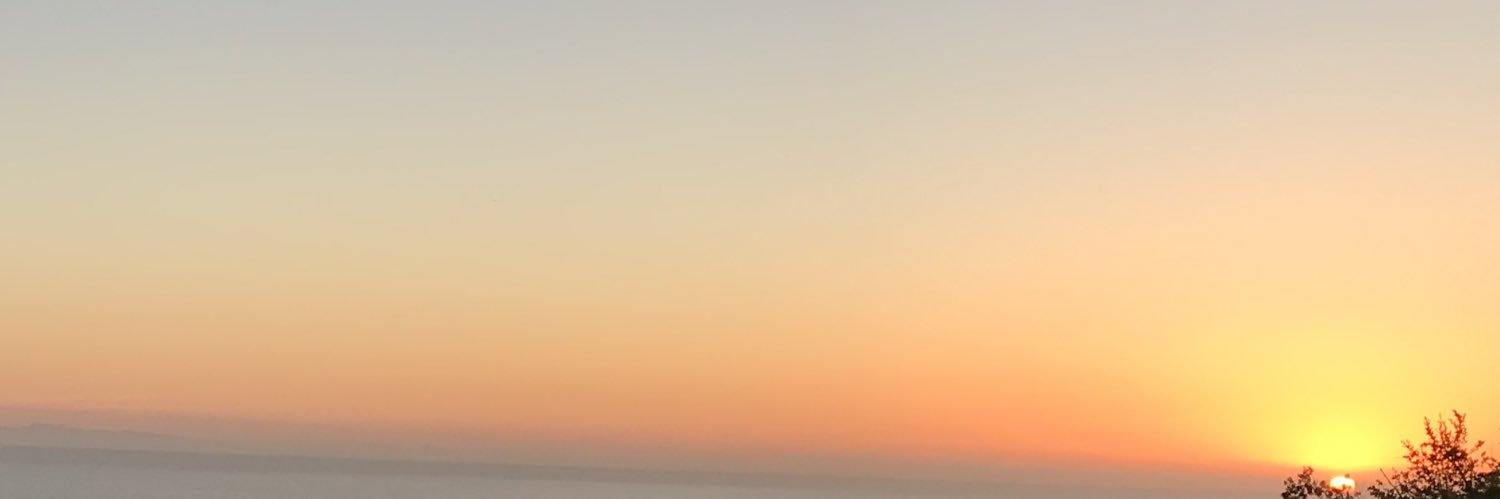 AgentOfHappy's profile banner image