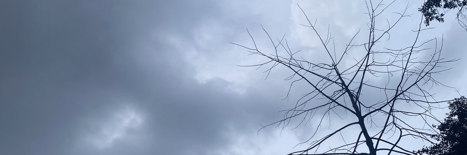 flerken mod 🌸 banner
