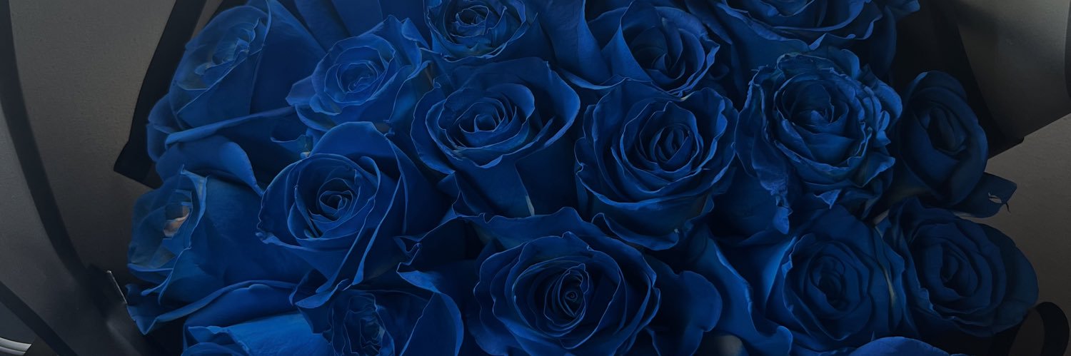 ___aaliyahhh's profile banner image