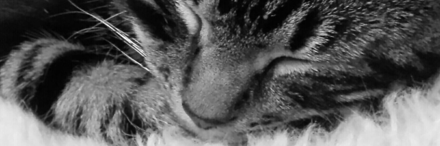 Amy Allington banner