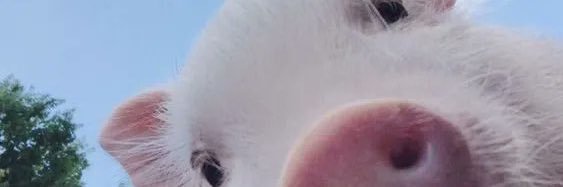 margaritassour's profile banner image