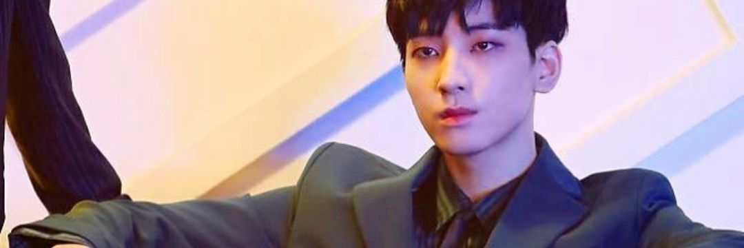 vc_wonwoo's profile banner image
