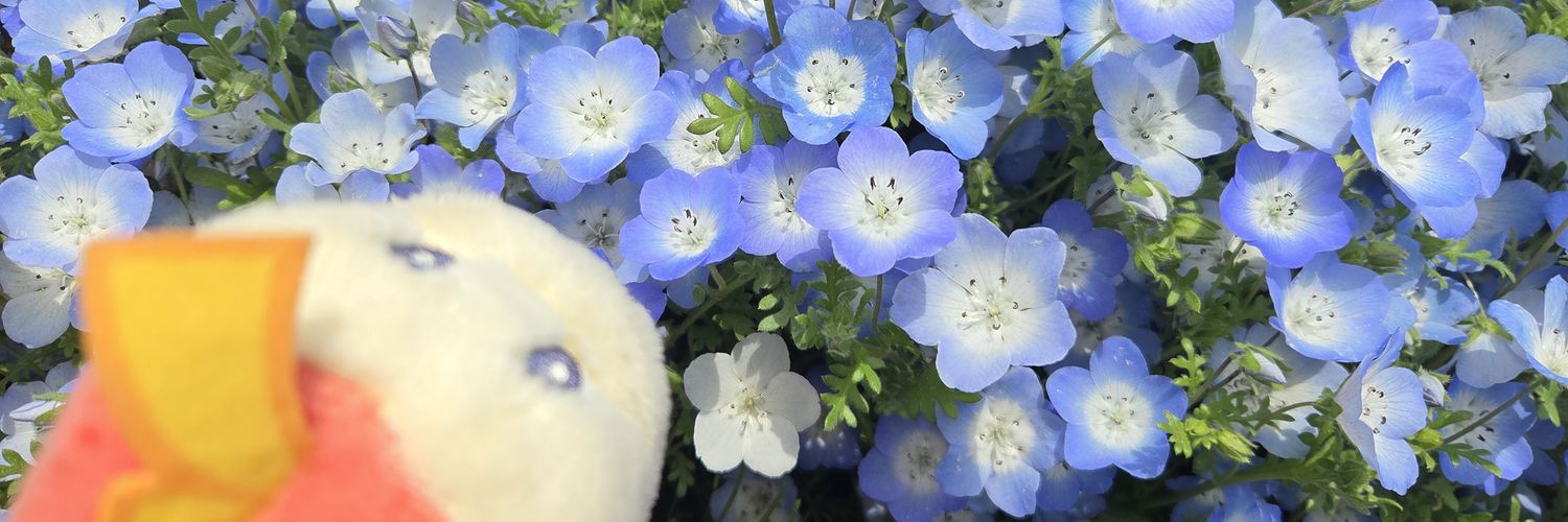 みずこだよ🍄🦎 banner
