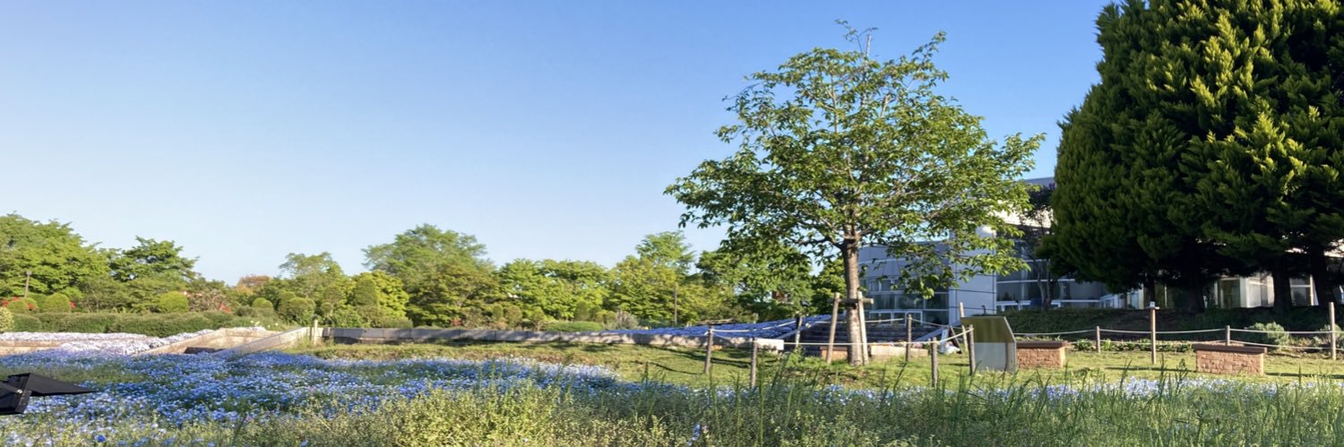 まちこ banner