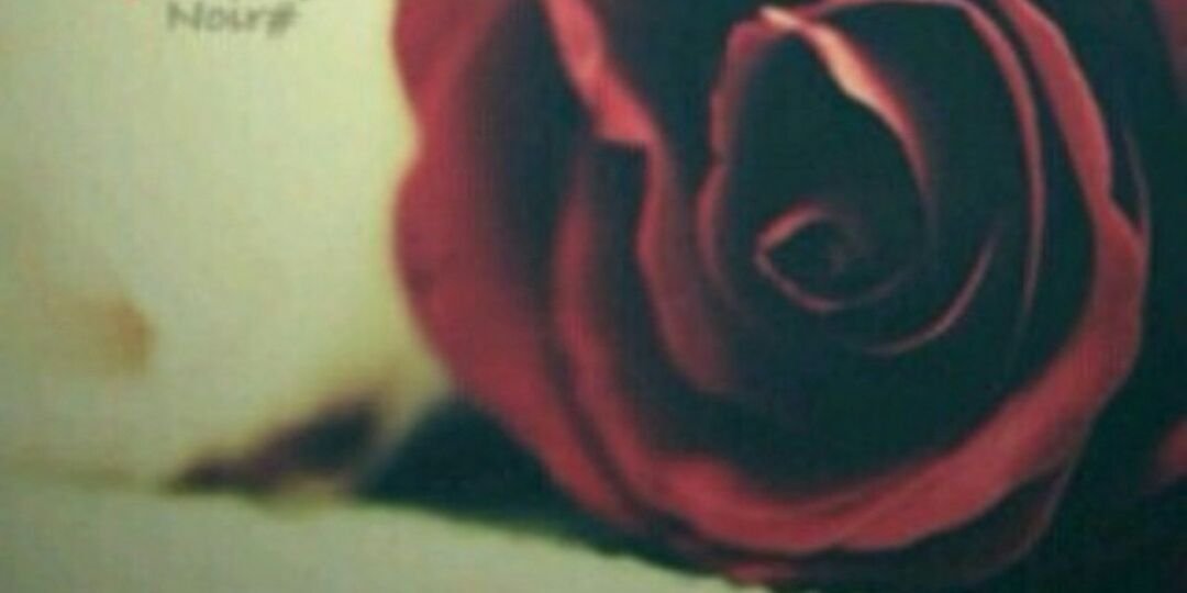 reta323's profile banner image