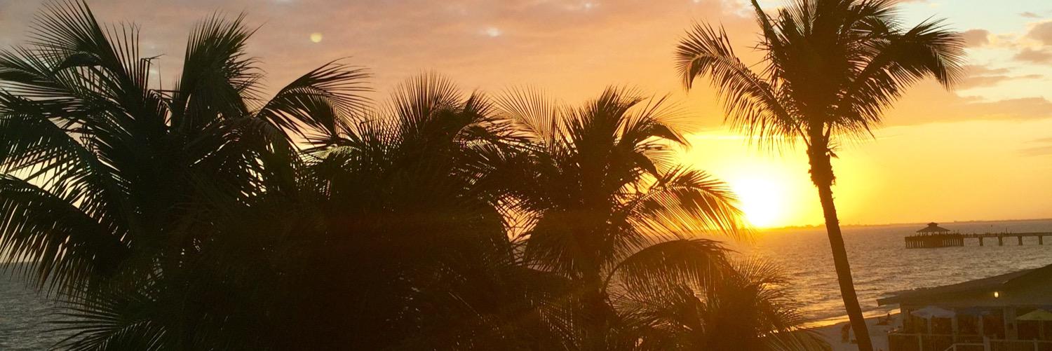 CarrieAnne56's profile banner image
