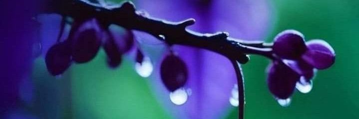 blessedwithwork's profile banner image