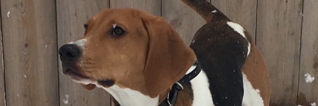 HeatherOBBFan's profile banner image
