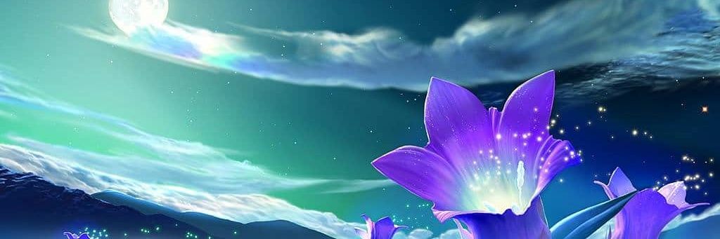 AkumaBoukon's profile banner image