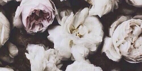 andreavargas97's profile banner image