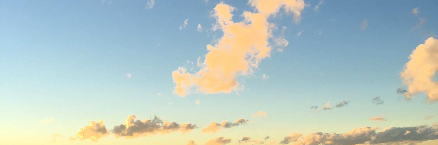Peedroalmeida's profile banner image