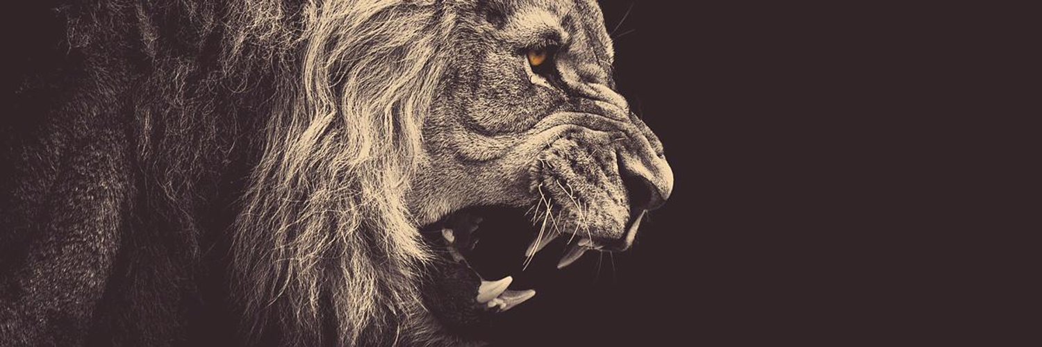 Imparable_l's profile banner image